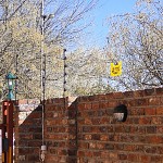 Electrical fence
